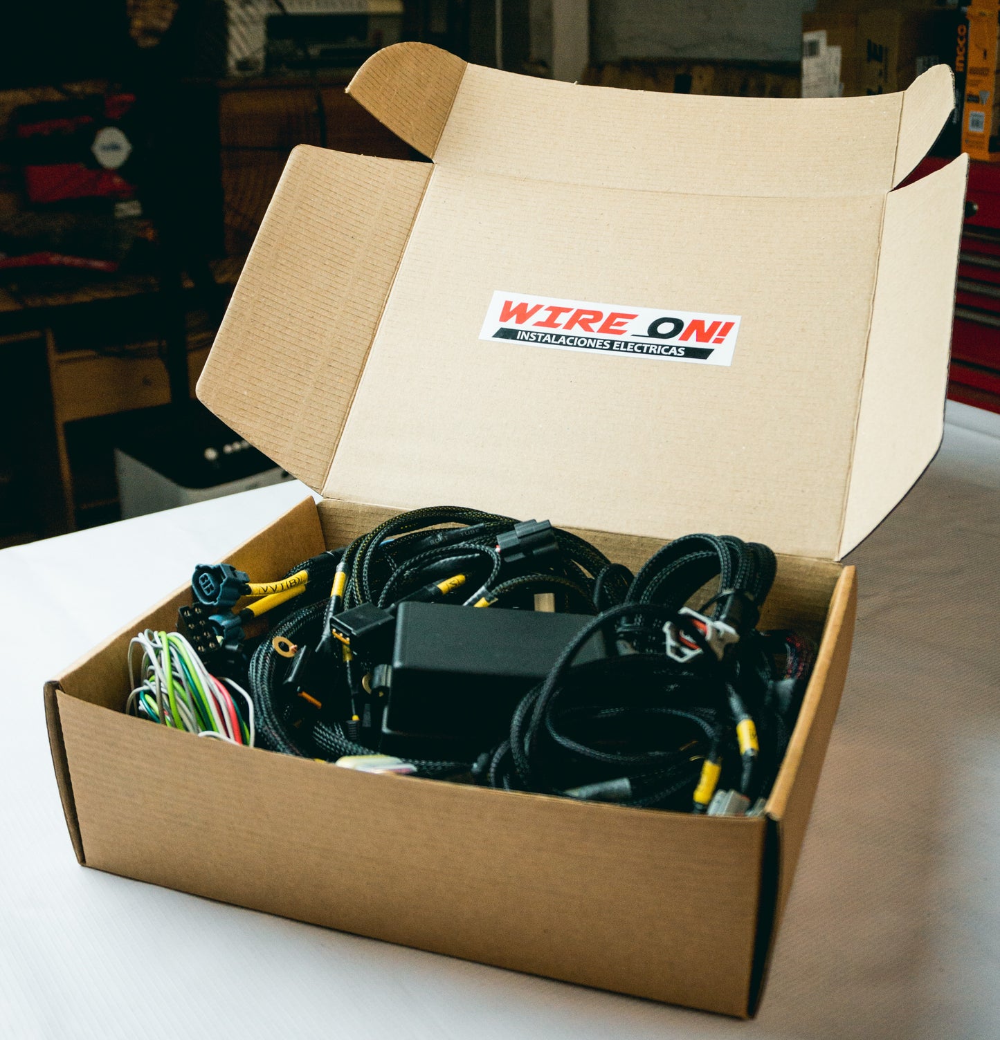 RAMAL ECU HONDA (OBD1) (P28)