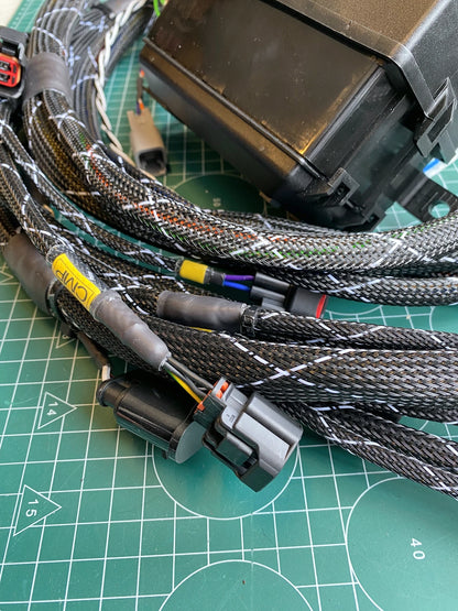 HARDCORE wiring harness for Honda K20/K24 engines