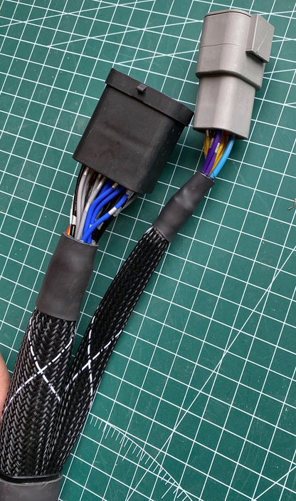 HARDCORE wiring harness for Honda K20/K24 engines