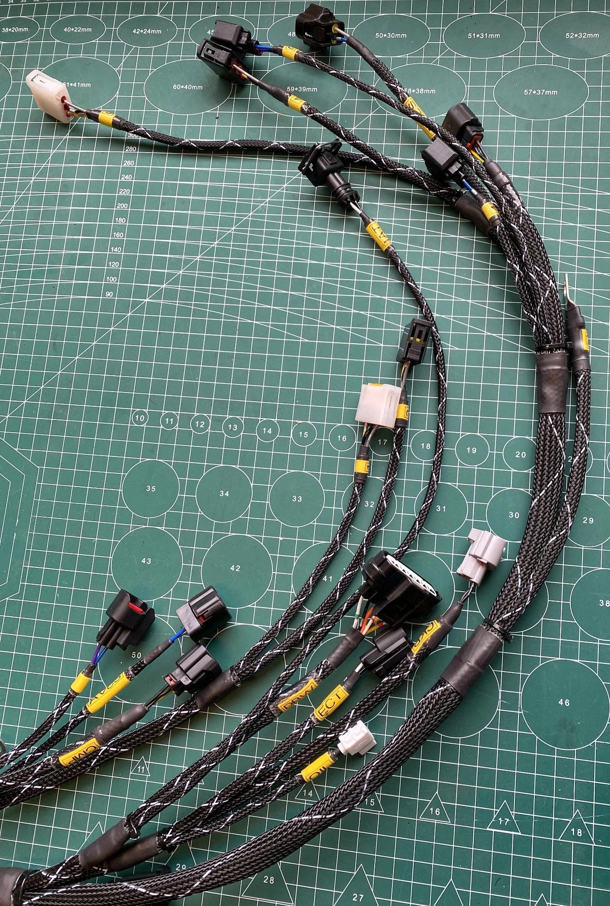 HARDCORE wiring harness for Honda K20/K24 engines