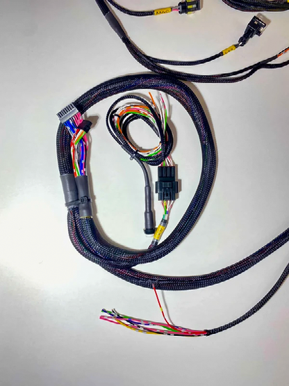 Ramal HARDCORE Wire On! - terminaciones del ramal; foto real con iluminación natural